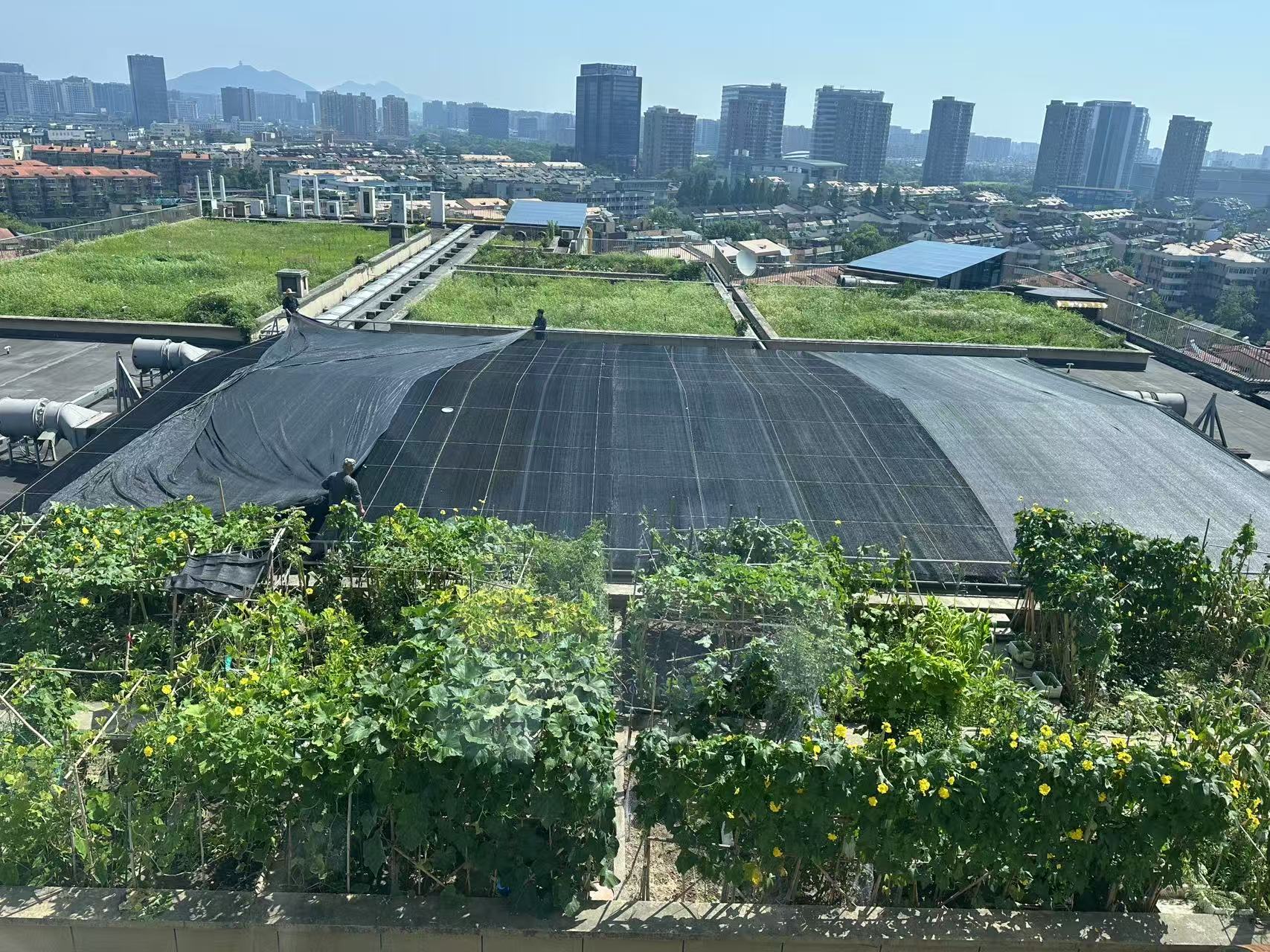 水晶城巧施」刳阳术“，为节能降耗注入清冷动力