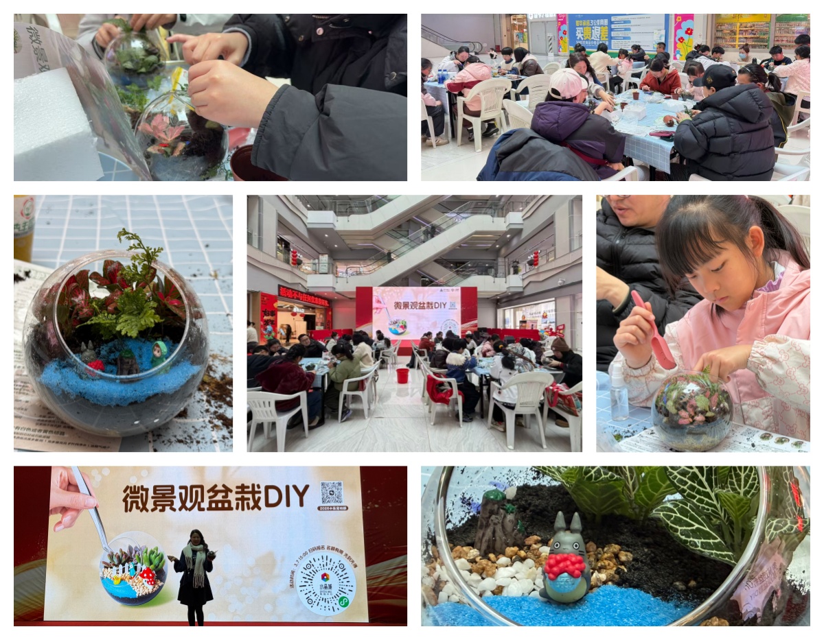 巧手造微景，指尖绽春意——水晶城微景观盆栽 DIY 活动圆满进行