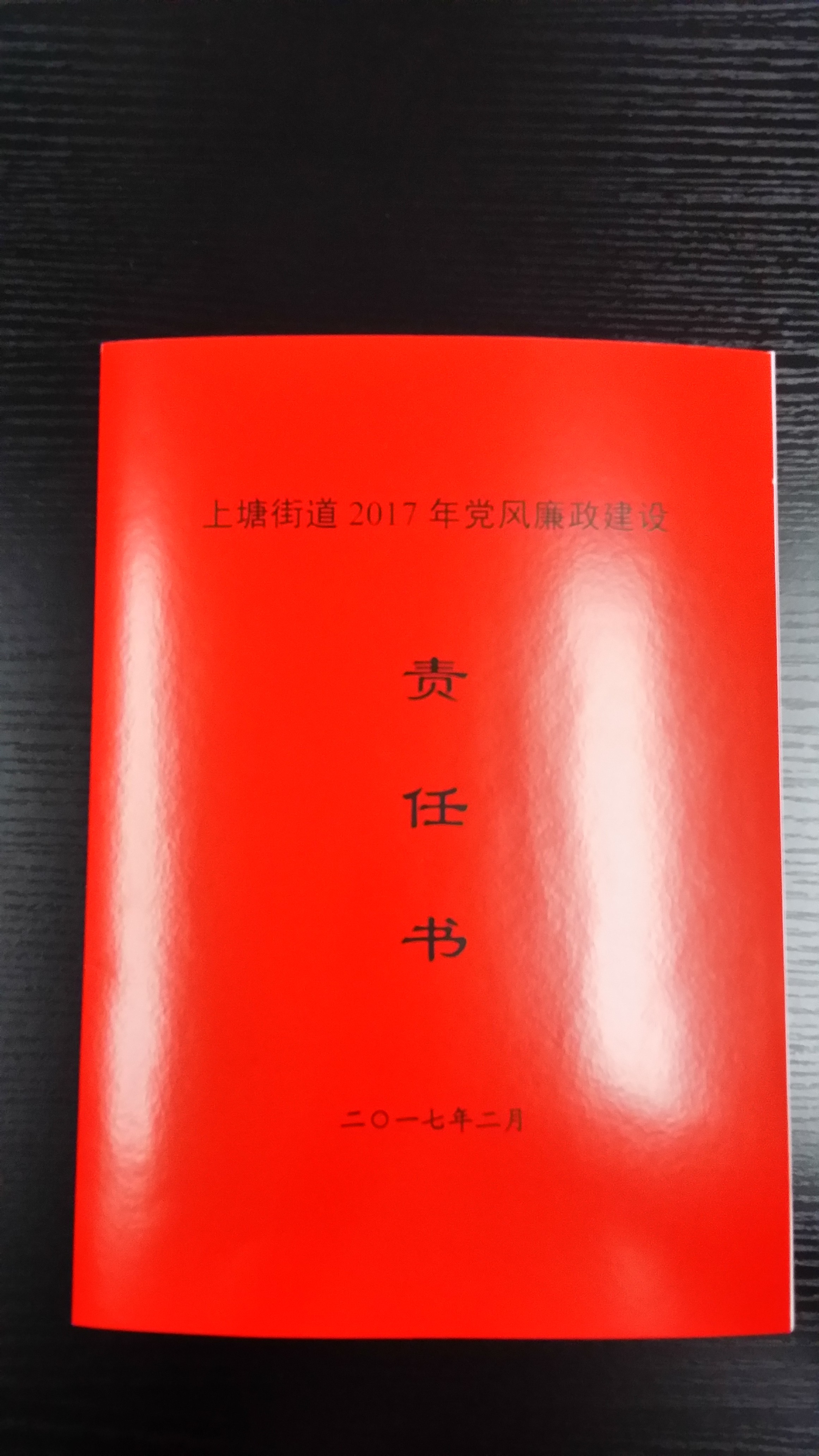 成立换届辅导幼组.jpg 成立换届辅导幼组.jpg