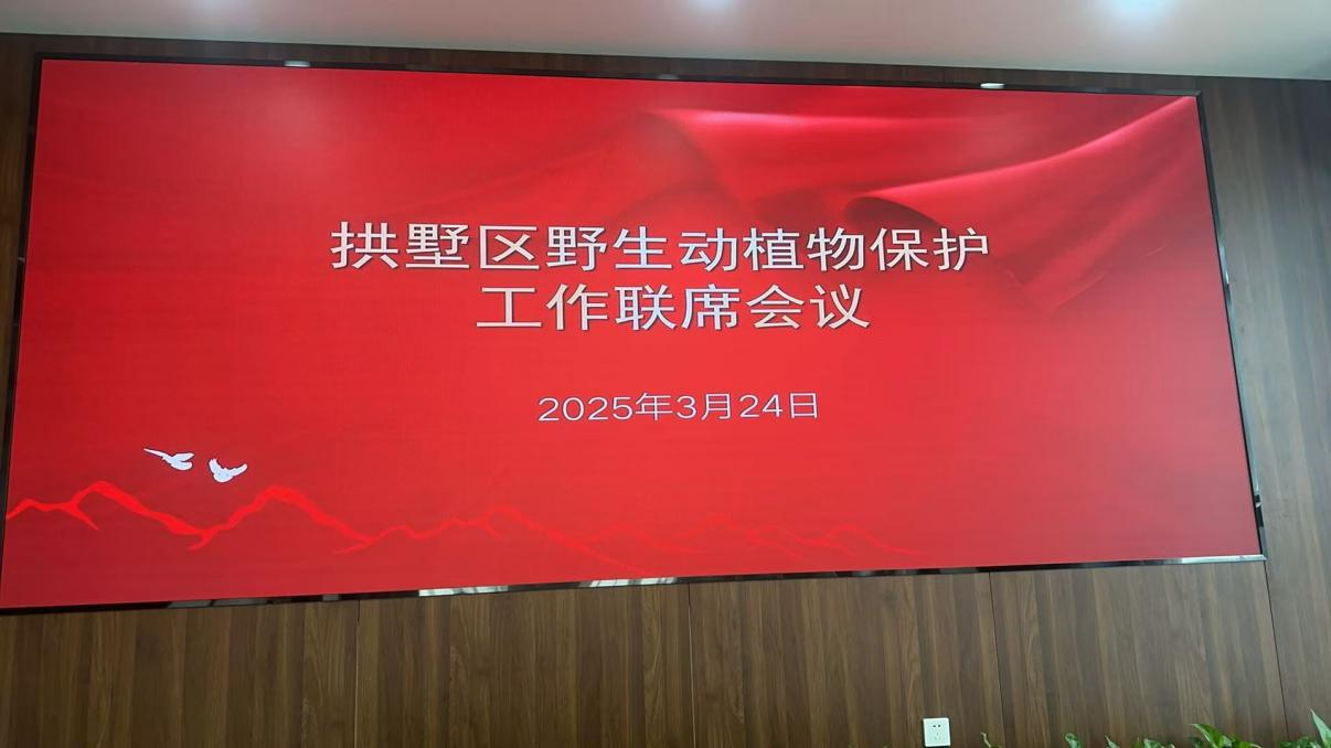 图片11.png 图片11.png